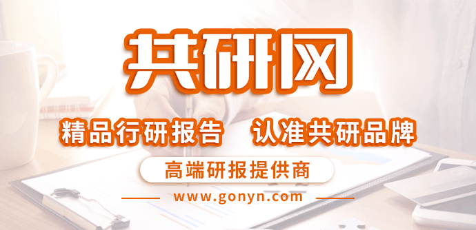 2025-2031年中国在线音频行业调查与投资战略研究报告