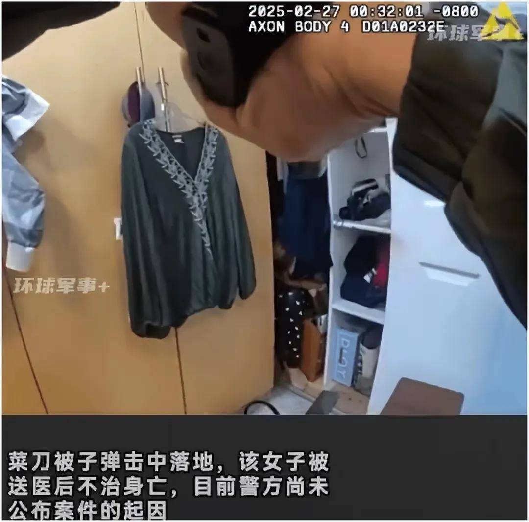 洛杉矶，华人大妈持刀抗拒抓捕，被当地警方破门击毙