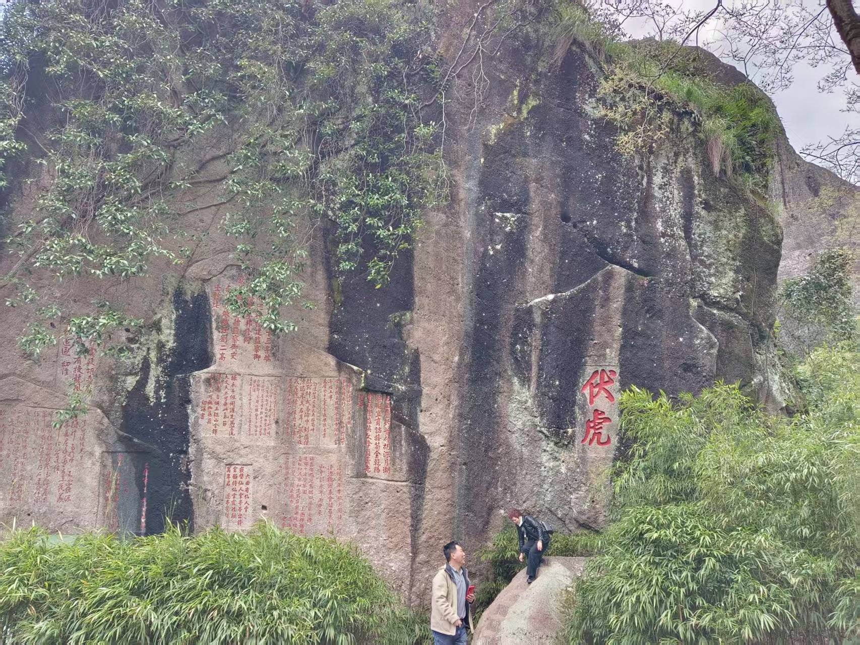 自驾游武夷山：一溪九曲涤尘心