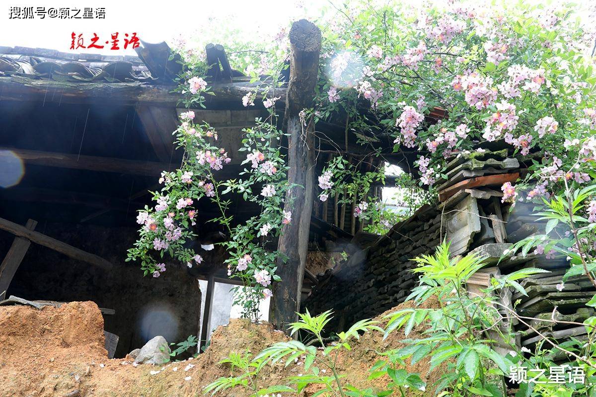 一村邻三市三县，自驾旅游风景线