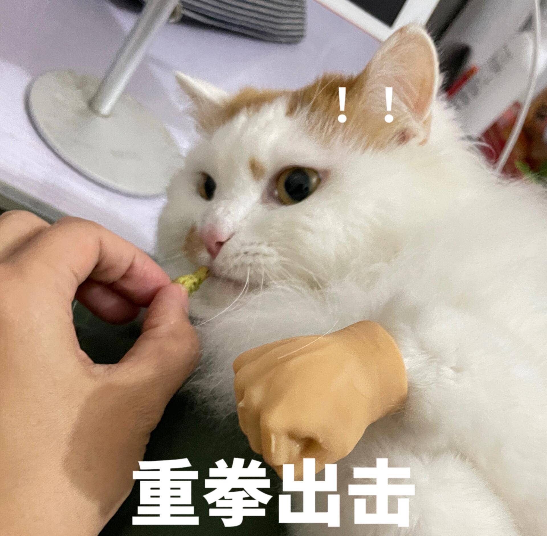 笑话十条：和闺蜜出去旅游，累了在树下休息，突然几滴鸟屎滴到我脸上
